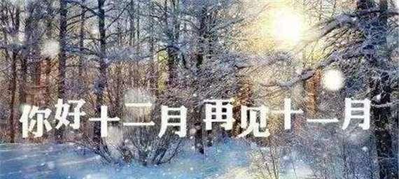 再见2024，你好2024——一次轮回的告别与新生