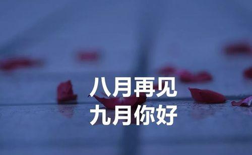 再见2024，你好2024——一次轮回的告别与新生
