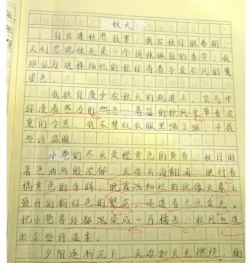 有关夏至秋始主题的作文的作文怎么写（《青春的节气——从夏至秋的蜕变》）