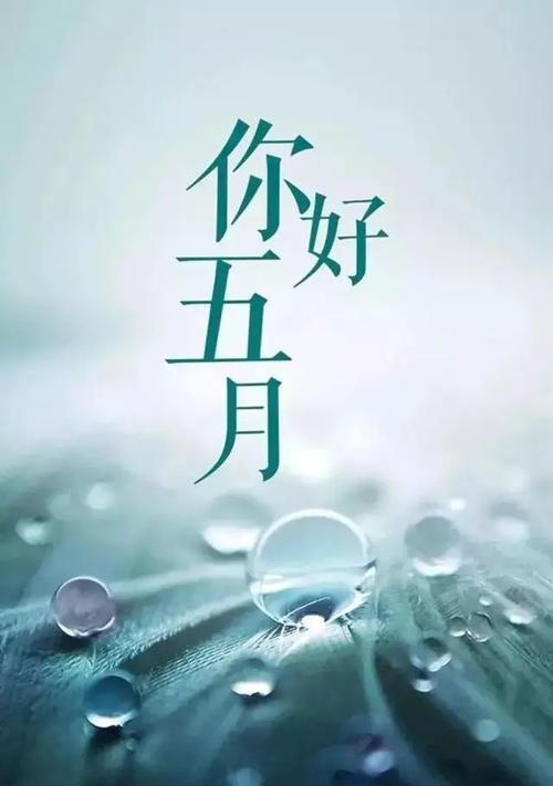 永别了，2024（再见2024）