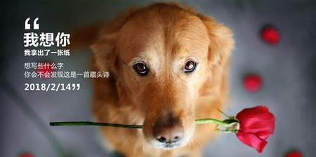 在2024光棍节，与你相遇