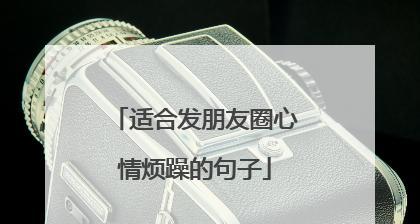 以2024年为起点，我们一起度过每个光棍节（以2024年为起点）