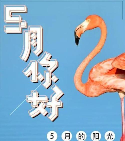 再见2024，你好2024（25个唯美句子）