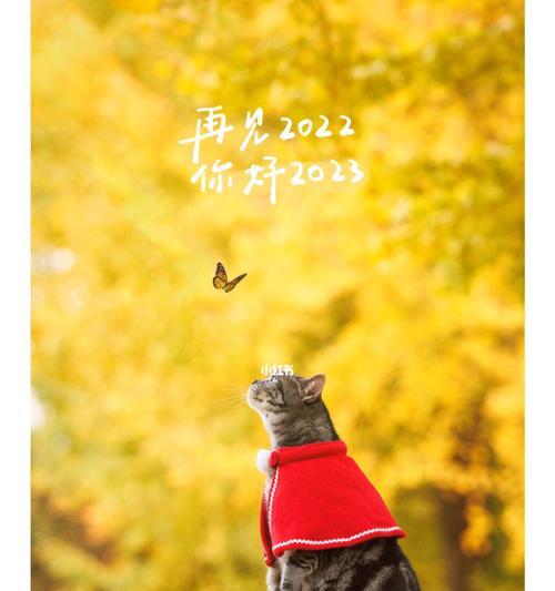 再见2024，欢迎2024（美好与希望交织的一年）