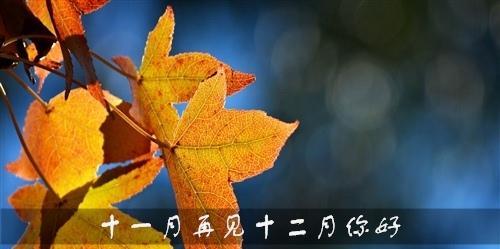 再见11月，你好12月（140句唯美句子传递温暖）