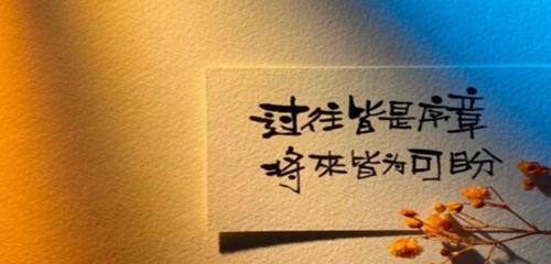 我的缘分与你