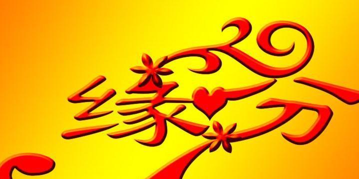 我的缘分与你