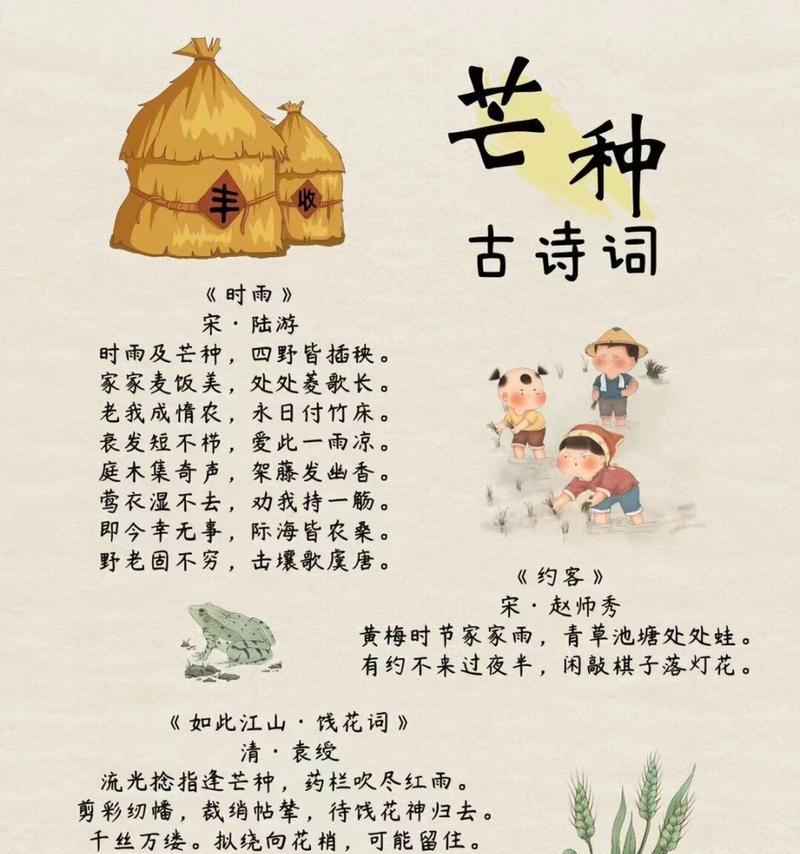 二十四节气作文800字芒种（《芒种时节的青春播种》）