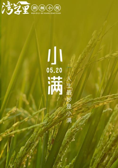 今日小满的时间（《小满时节的课间趣事》）