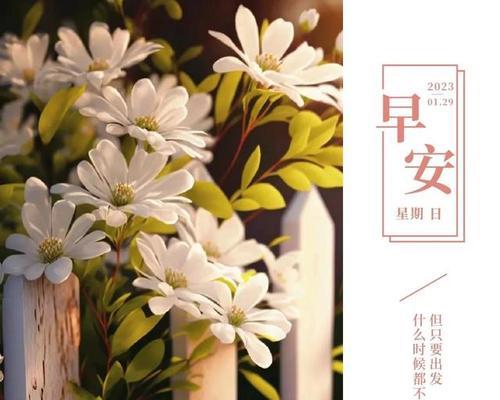 与亲友共同欢度岁末佳节（与亲友共同欢度岁末佳节）