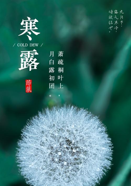 凝望2024，静待寒露（短句送问候）