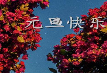 唯美短句，共享新年（唯美短句）