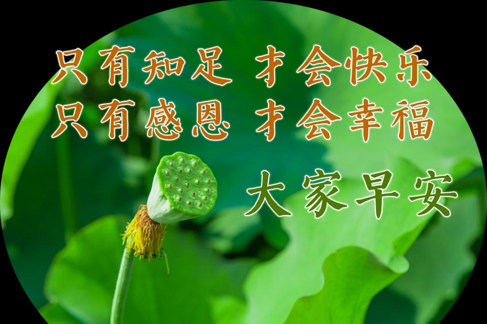 河北加油，2024我们在路上（唯美短句祝福）