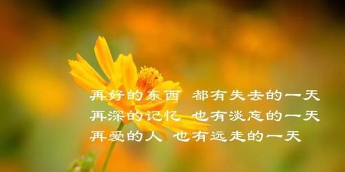 用文字宣泄心中的悲伤，借朋友圈告诉自己不是一个人（用文字宣泄心中的悲伤）