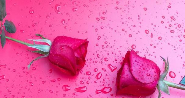 爱意绵长,如诗如画(唯美短句传递情感) 爱意绵长,如诗如画(唯美短句传递情感)