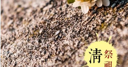 纪念逝去的亲人和朋友（纪念逝去的亲人和朋友）