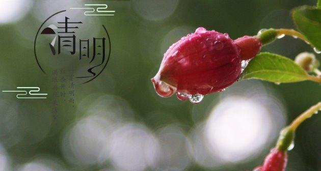 岁月沉淀，情感永存——2024清明节怀念故人（唤起思念）