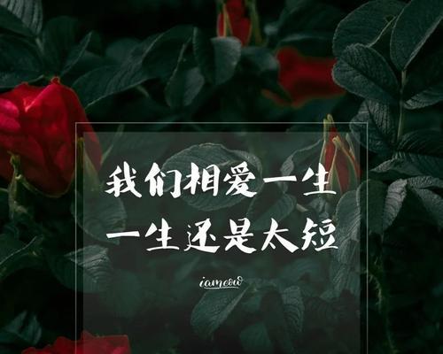 踏月寻爱——2024七夕最成功表白（以唯美短句为媒）