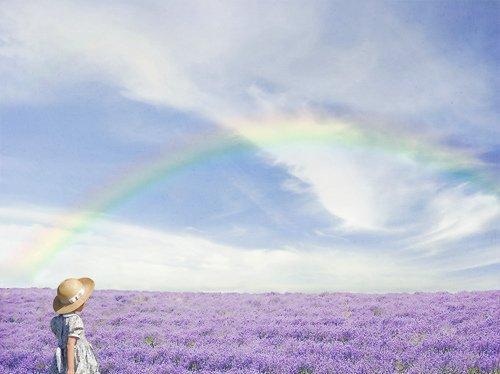 纯净如水，柔美如花（纯净如水）