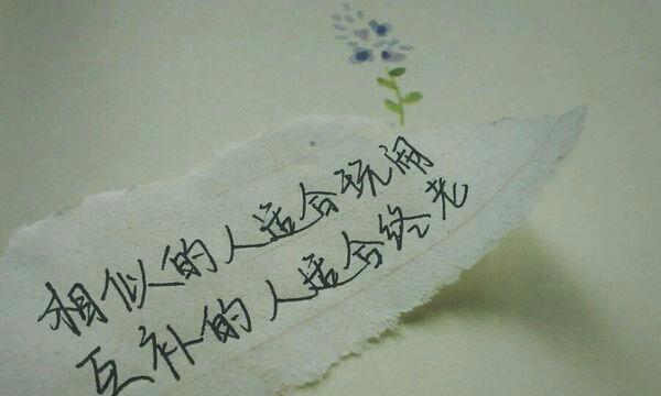 《爱情与面包》
