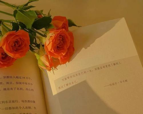 《爱情与面包》