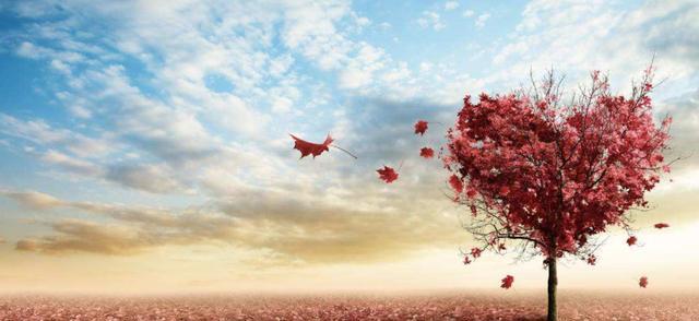 寻找心灵的翅膀（寻找心灵的翅膀）