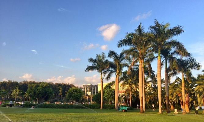 有关白露洲公园的作文的作文怎么写（《白露洲公园的秋意浓》）