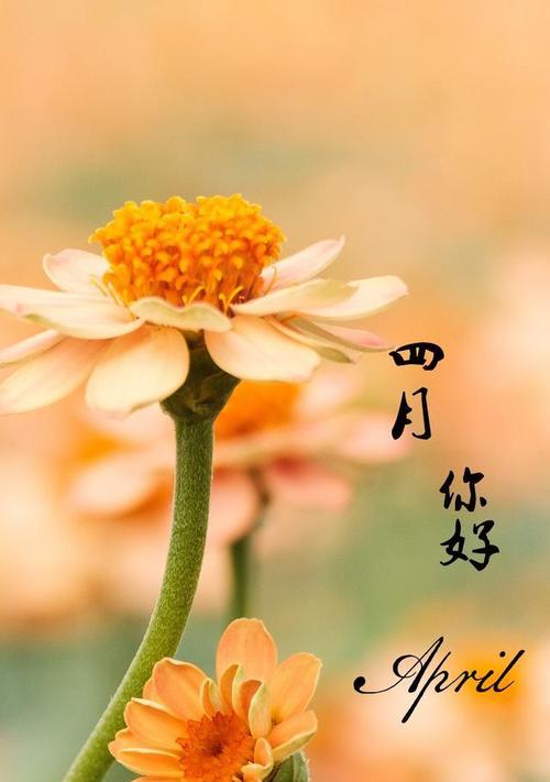 《柔光温暖，8月你好》