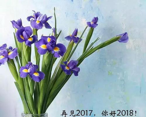 那些美好的瞬间，它们会停留在时间里（那些美好的瞬间）
