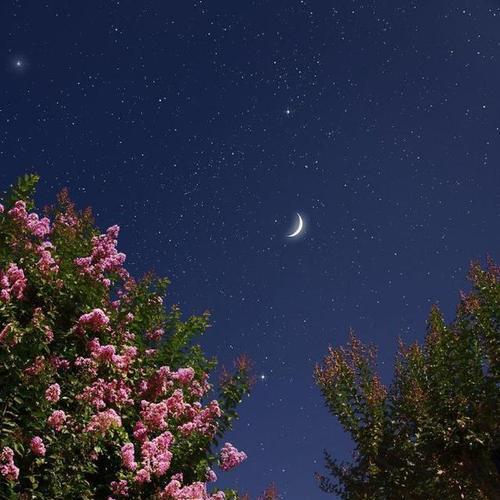 静谧之夜（追寻内心的宁静）