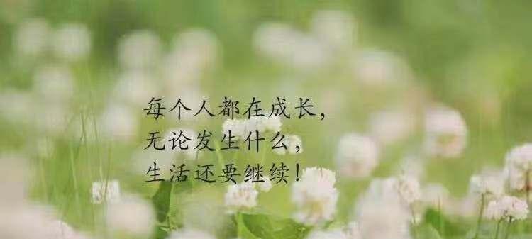 微信朋友圈名言警句（用唯美短句）