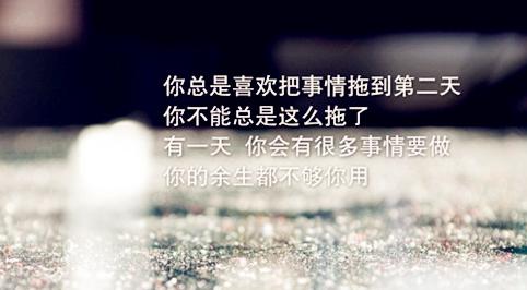 《友谊之花》